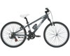 ��������� Giant STP 225