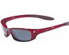 ���� Julbo Globe 324