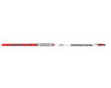 ������� ���� Rossignol ZYNEX SKATING 07/08